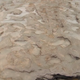 Illustration for article titled 3D Scanning Saved These Ancient Footprints Just Before They Washed Away